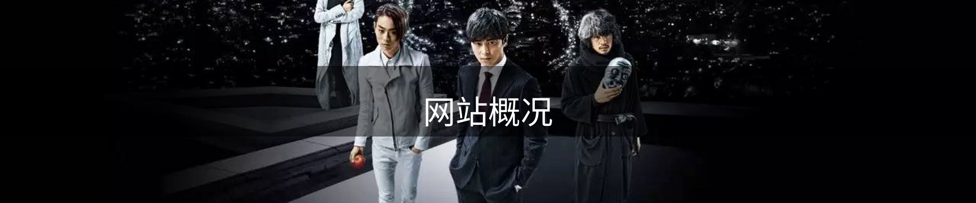 网站概况