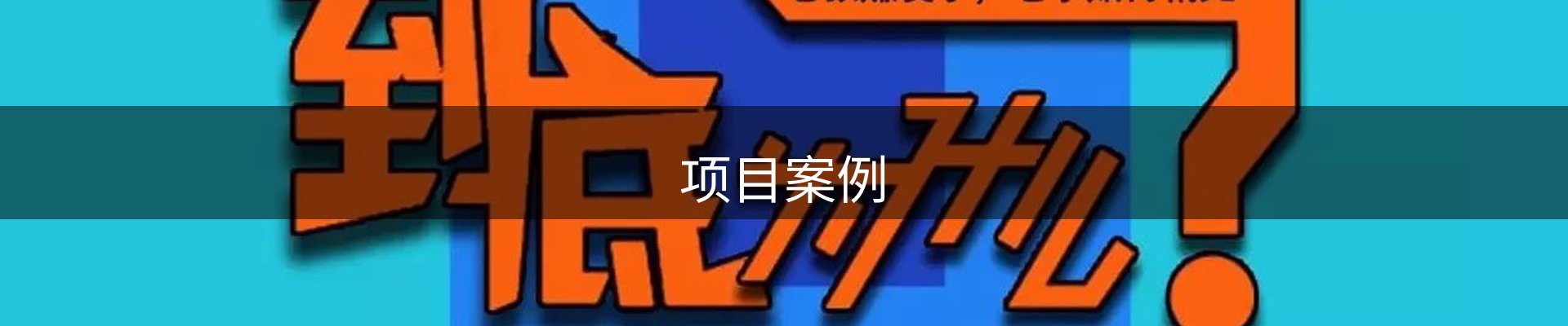 项目案例